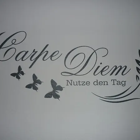 Carpe Diem * 러스트